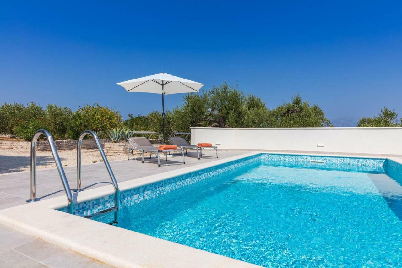 Villa Dubrava Tranquil Retreat Nestled In An Olive Grove For Serene Escapes Pucisca Exterior foto