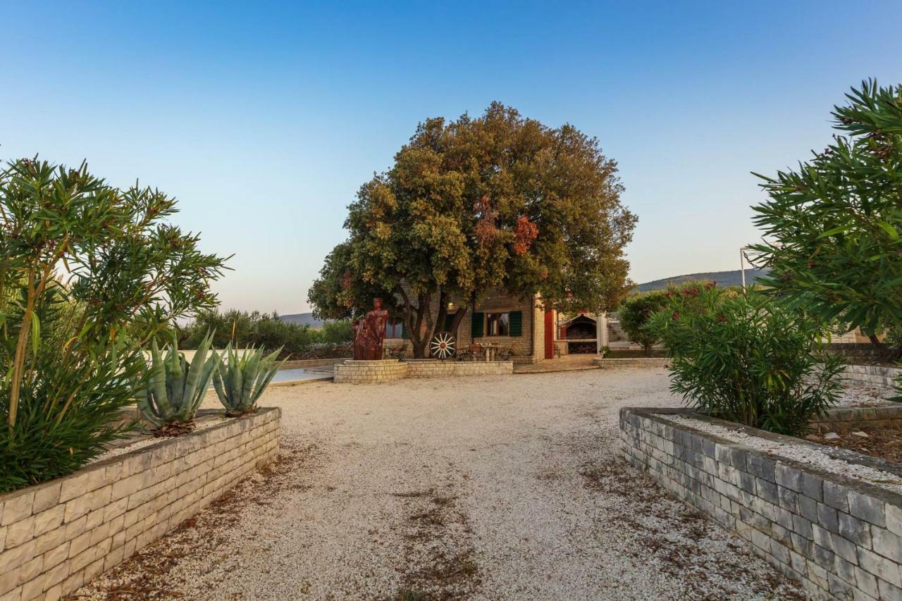 Villa Dubrava Tranquil Retreat Nestled In An Olive Grove For Serene Escapes Pucisca Exterior foto